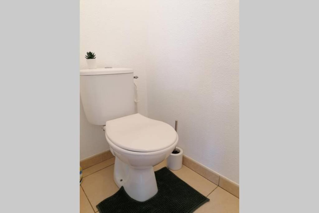 T2 Entier - Hyper Centre - Cosy Home Grenade-sur-Garonne Buitenkant foto